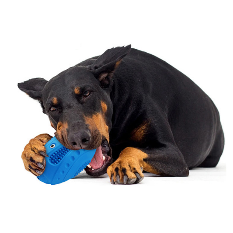 jouets de football à mâcher pour chien