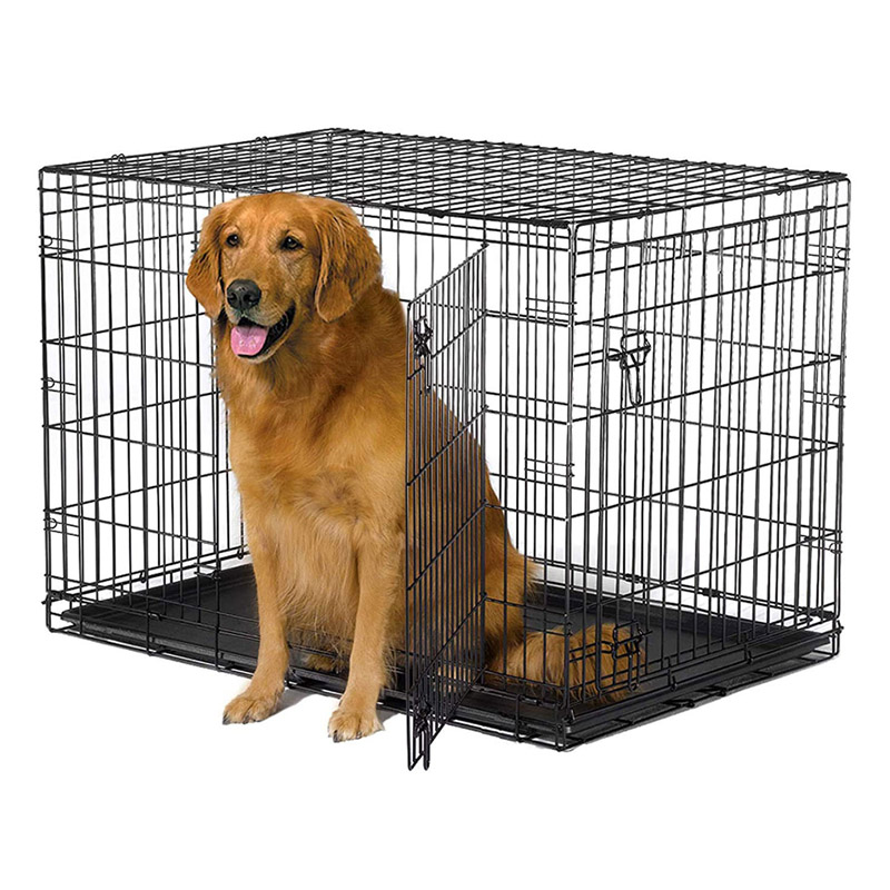 Cage en treillis métallique pliable pour chien avec double porte