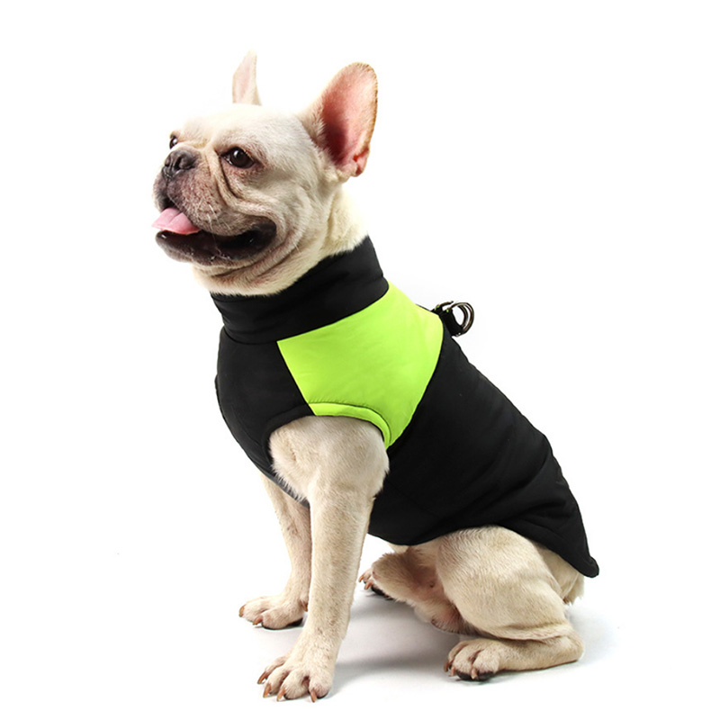 Veste imperméable et chaude pour chien