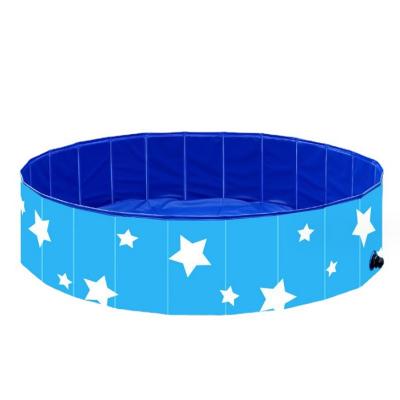 Pets dog swimming pool