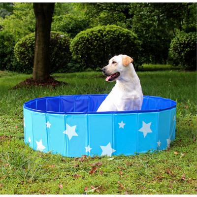 Pets dog swimming pool