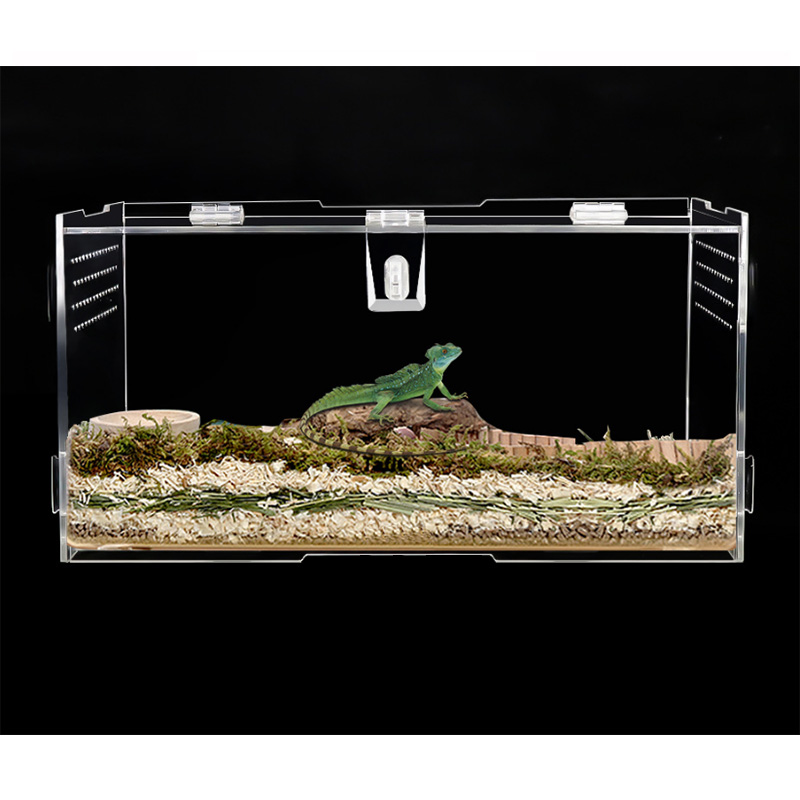 Réservoir de terrarium pour reptiles