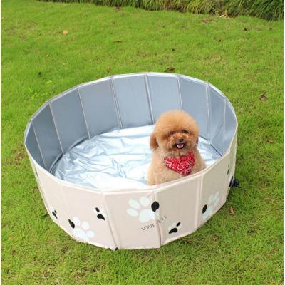 Small dog swimming pool