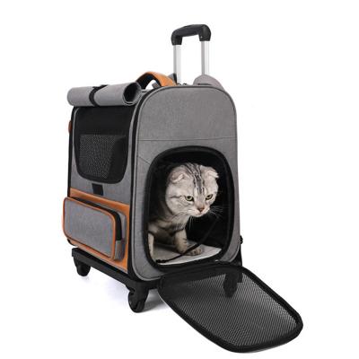 Backpack and Trolley Carrier for Cats