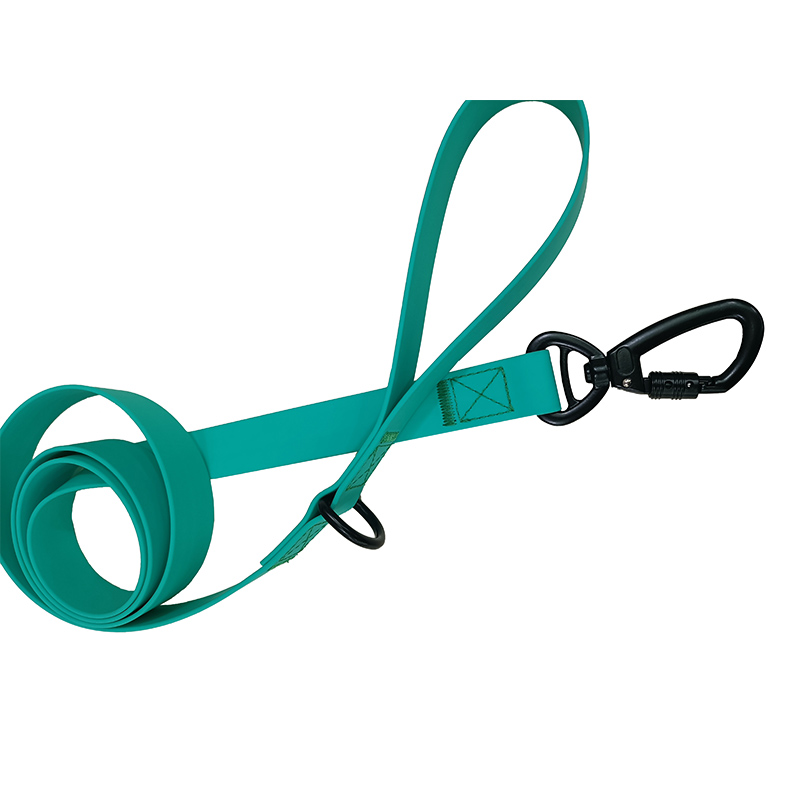 Laisses imperméables personnalisées pour chiens