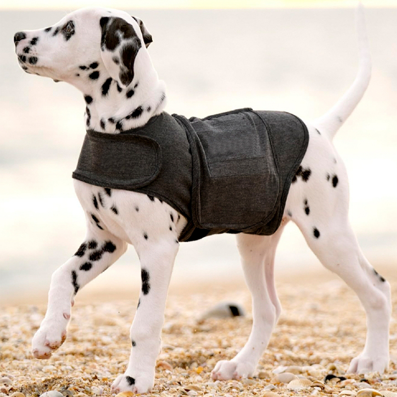 Gilet apaisant pour soulager le stress et l'anxiété du chien
