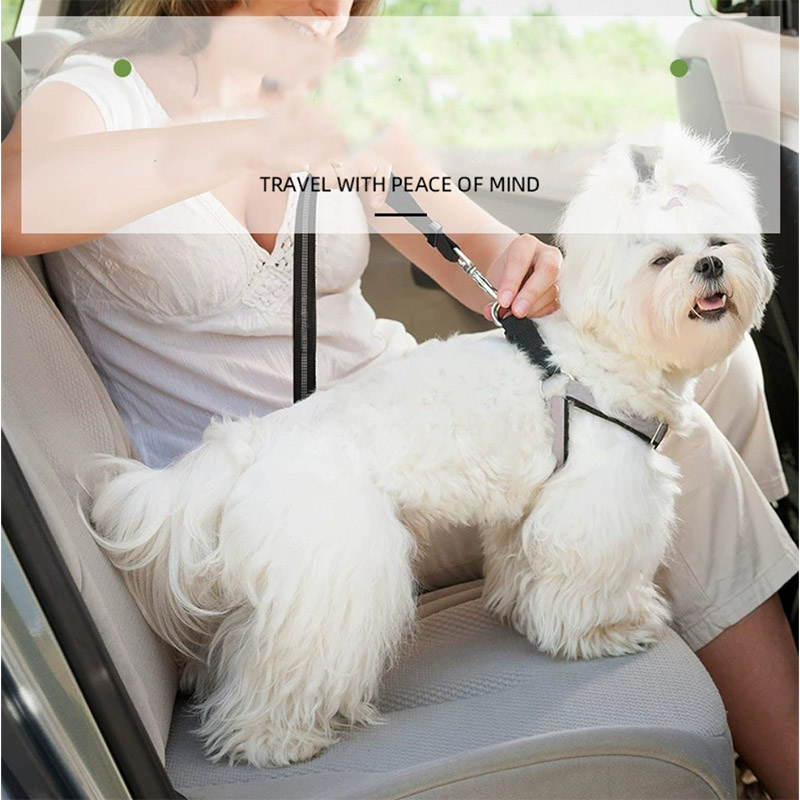 Ceinture de sécurité réglable pour chien