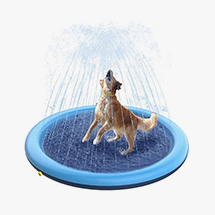 Piscines pour chiens