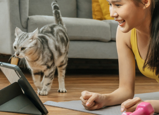 Quel est le jouet qui rend votre chat heureux ?